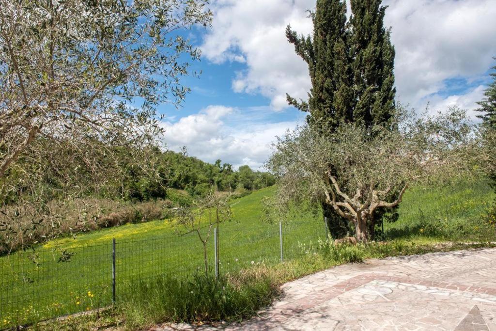 N202 - Numana, Comodo Bilocale Vicino Al Mare Exterior foto